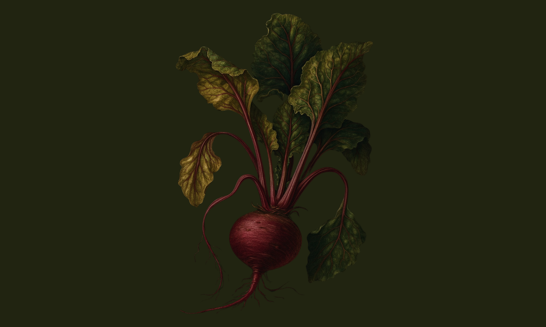 Beetroot: The Grounding Root of Vitality & Flow