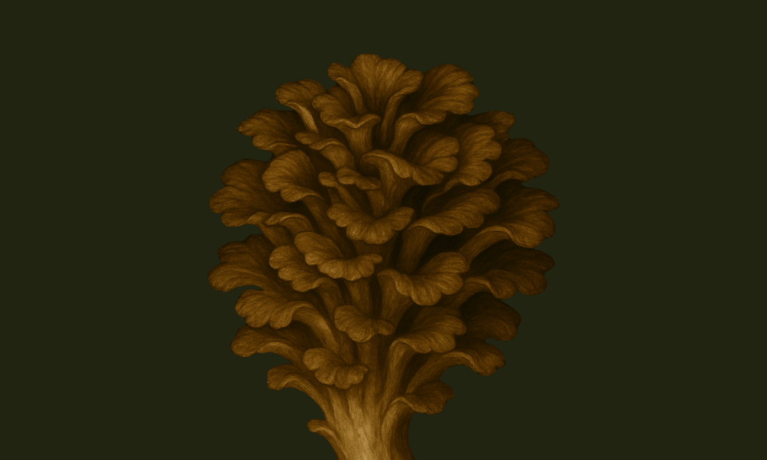 Maitake: The Grounding Mushroom of Balance, Immunity & Wise Strength