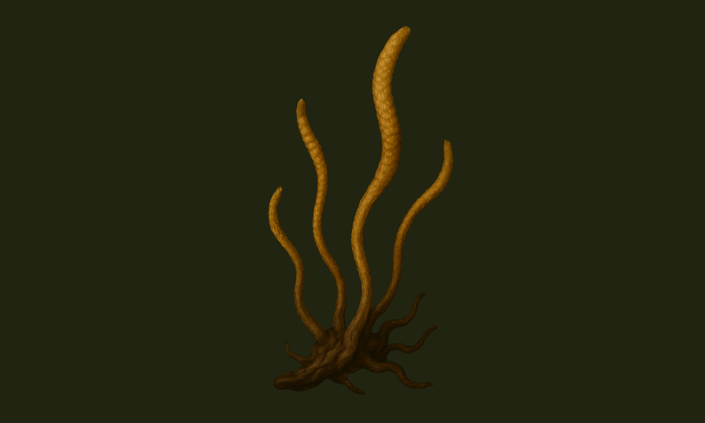Cordyceps: The Vitality Mushroom of Energy, Endurance & Life Force