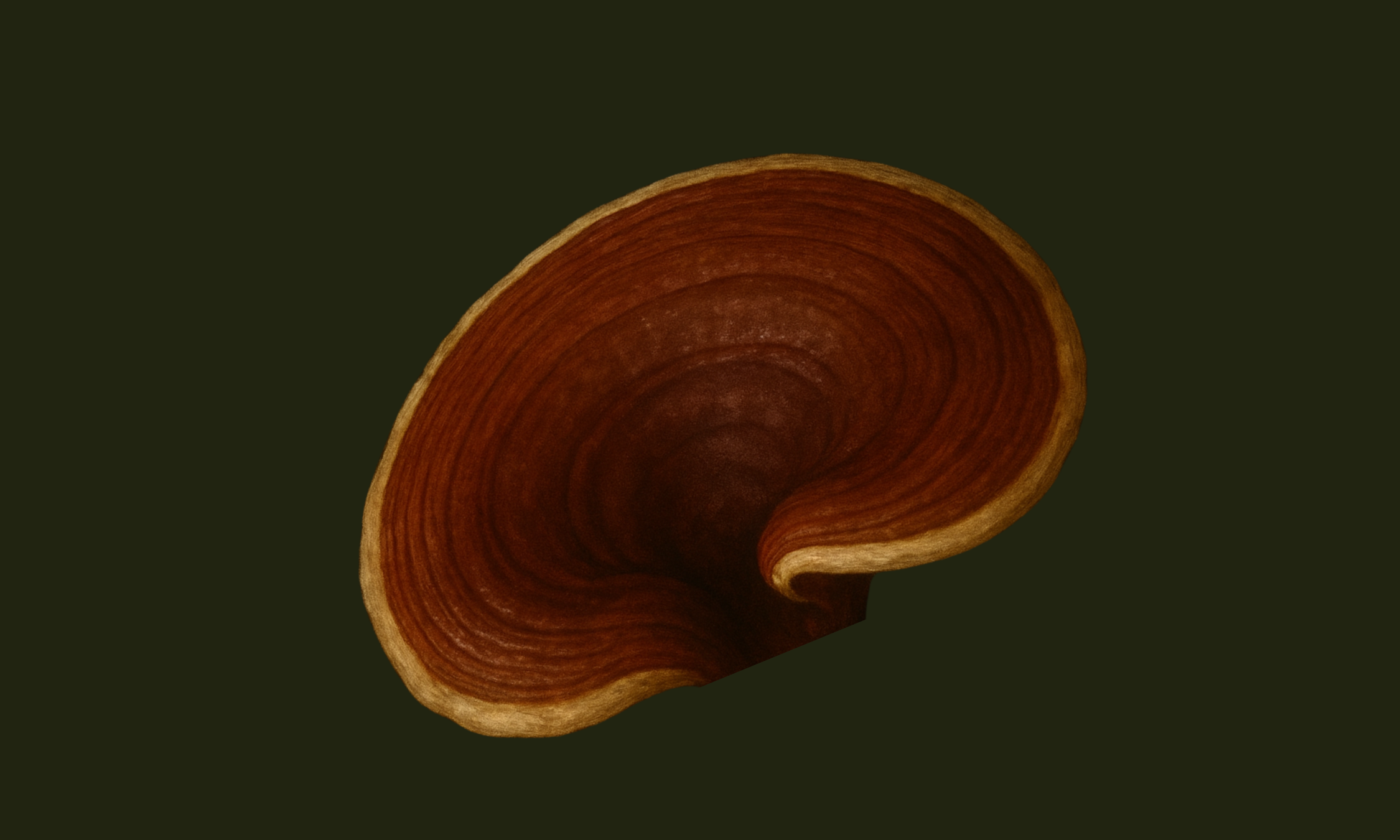 Reishi: The Mushroom of Longevity, Calm & Spiritual Grounding